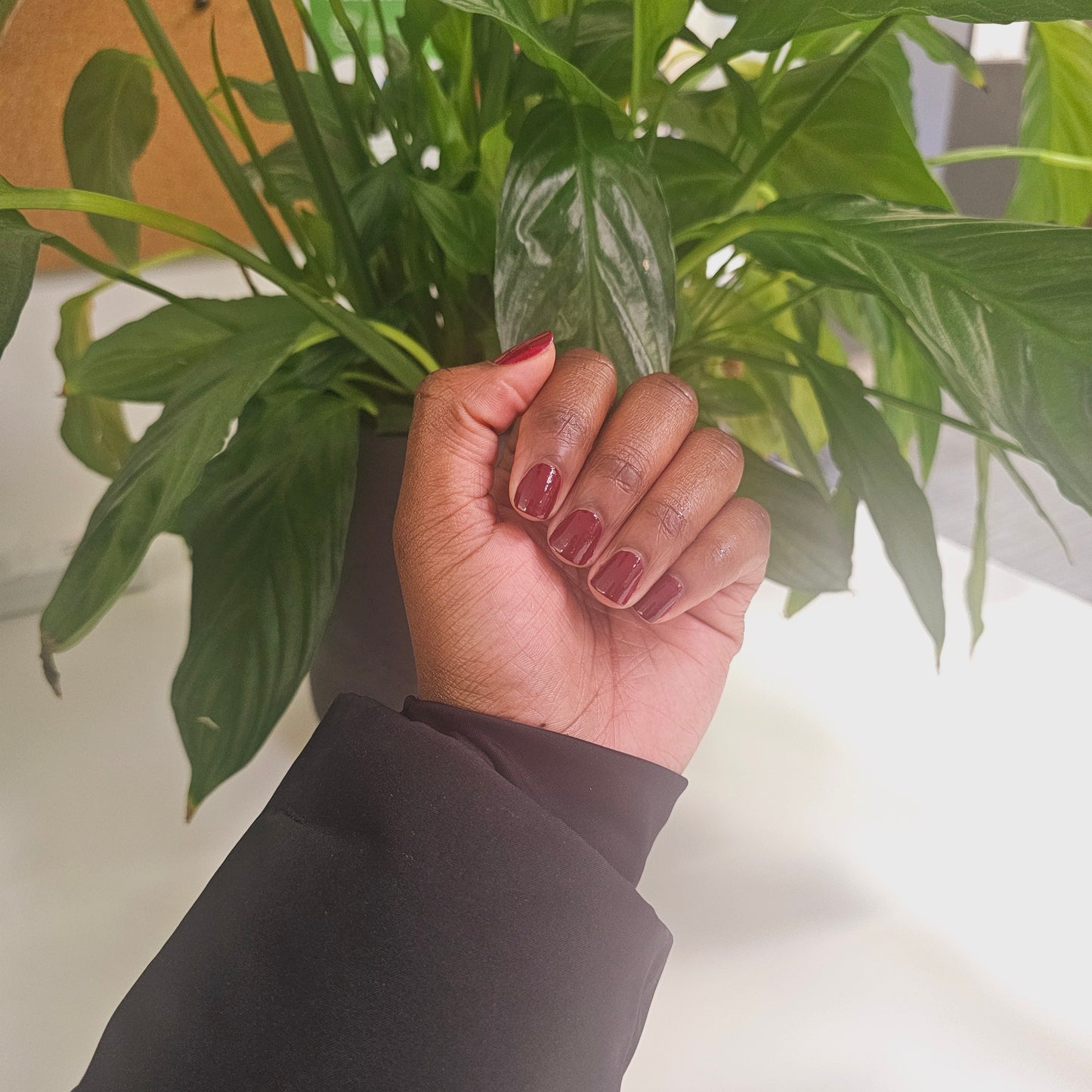 swatch for dark red nail polish around plant