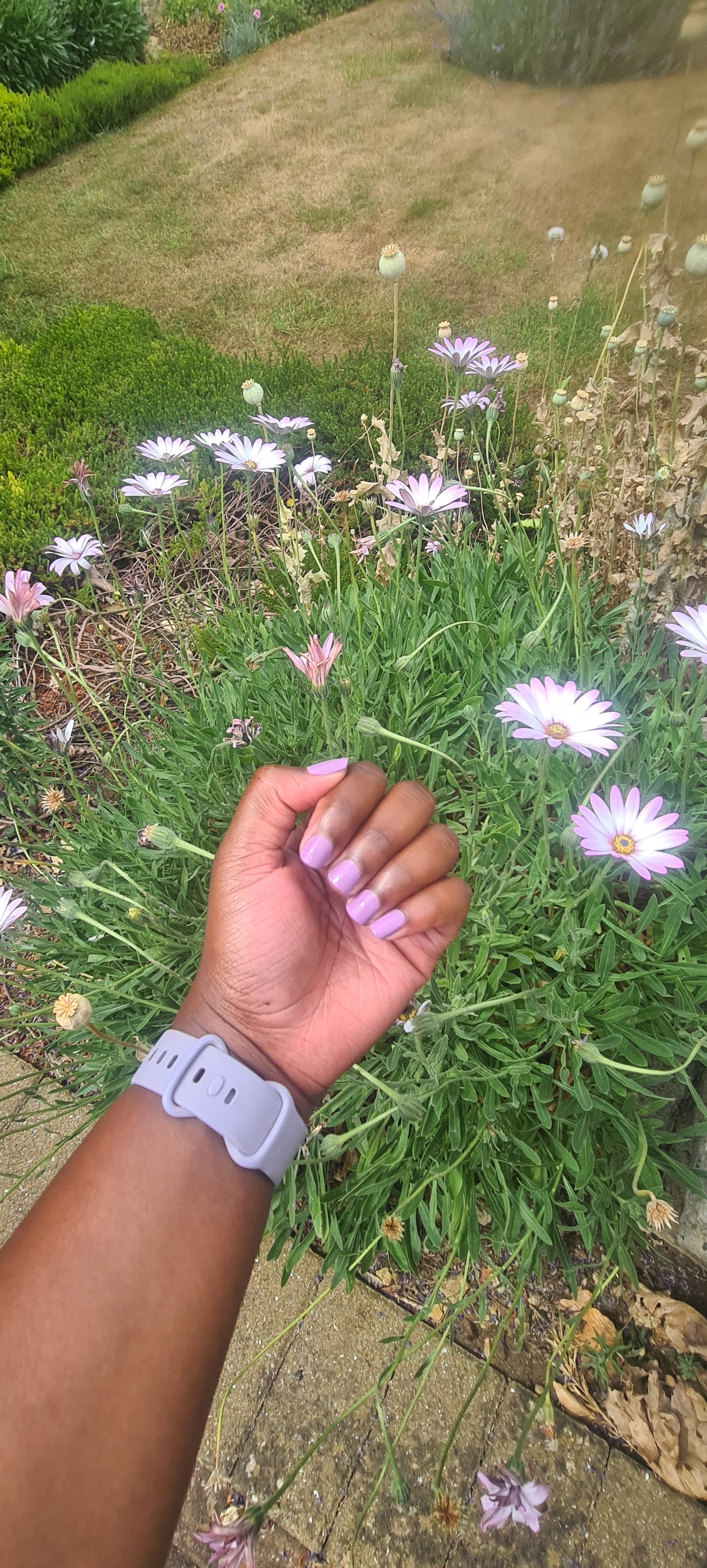 MAIL MY NAILS I'm all mauver' it Nail Polish