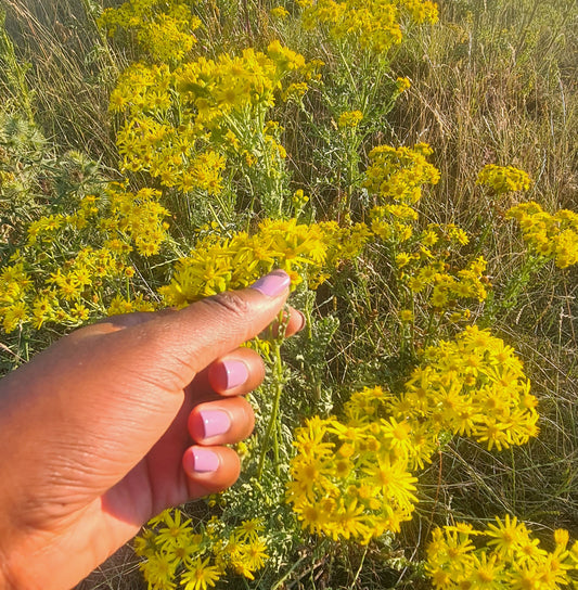 MAIL MY NAILS I'm all mauver' it Nail Polish